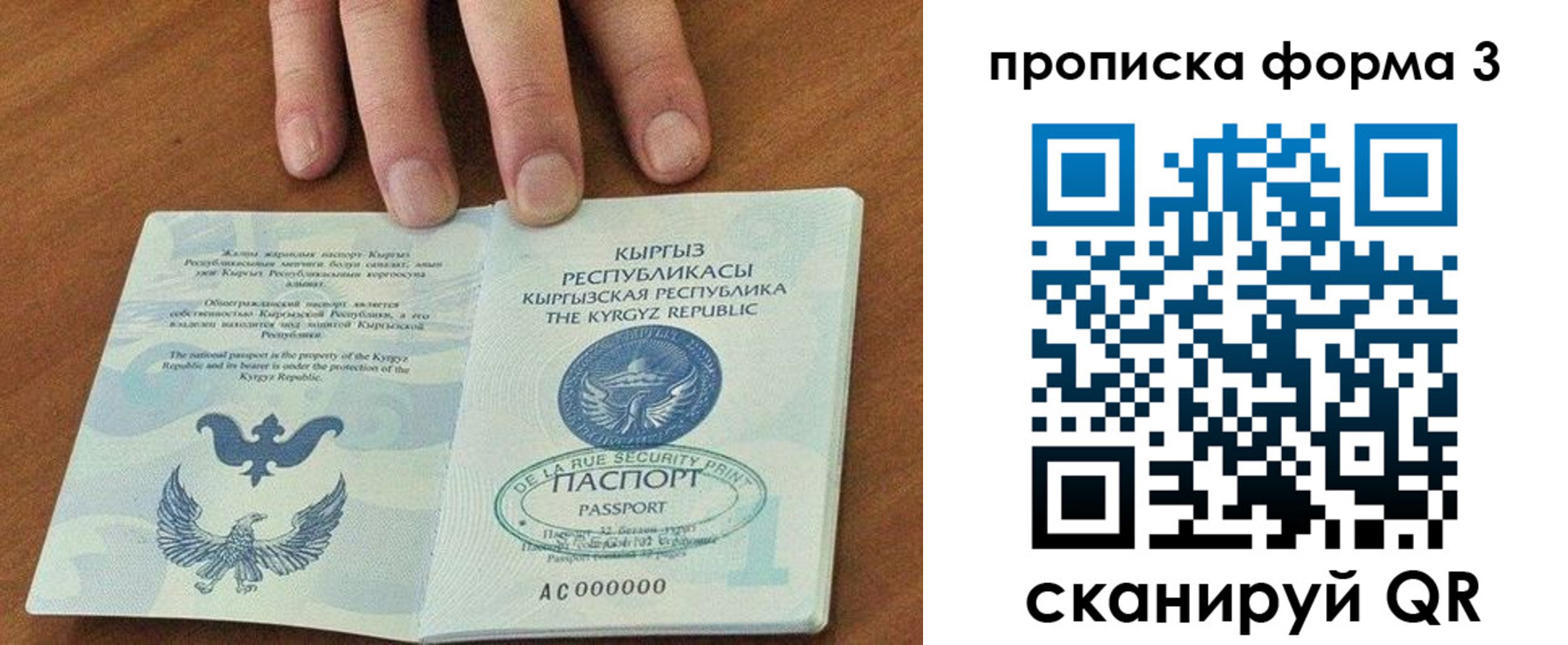 прописка 2025 в Стародубе